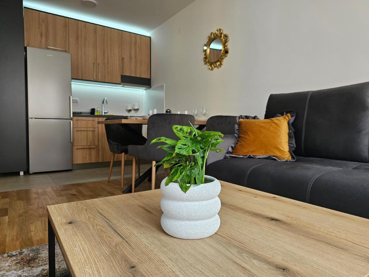 Sun&Moon Apartments Novi Sad Exterior photo